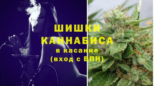 молекула духа Володарск