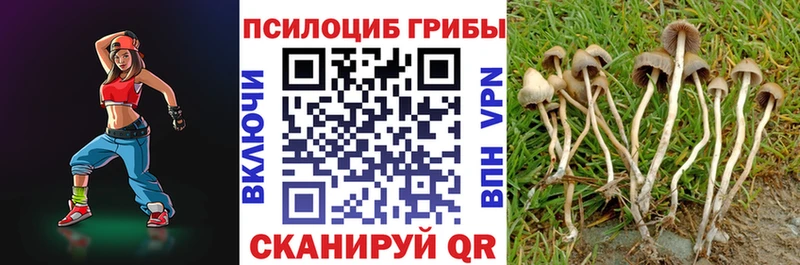 Псилоцибиновые грибы мухоморы  Осташков 